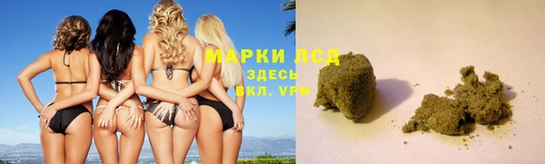 соль ск Новодвинск
