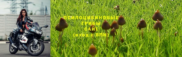 кокс Алзамай