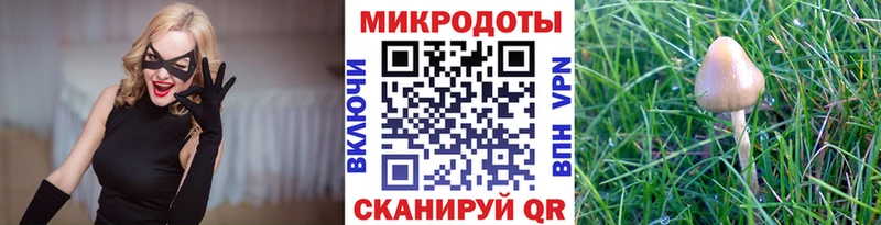 купить   сайты даркнета как зайти  Псилоцибиновые грибы ЛСД  Славск 